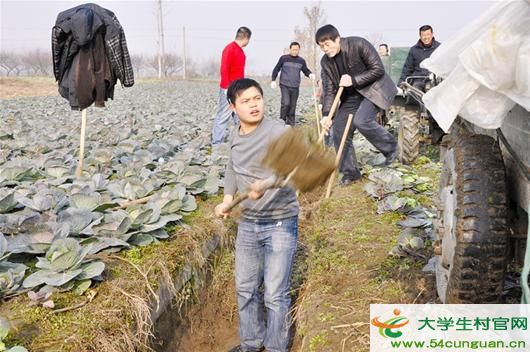 楚天金報訊 圖為：楊浩和鄉親一起干農活