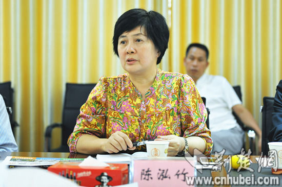 馬來西亞綠野集團執行總裁陳泓竹希望通過雙方深度合作共同促進項目發展