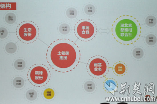土老憨集團架構