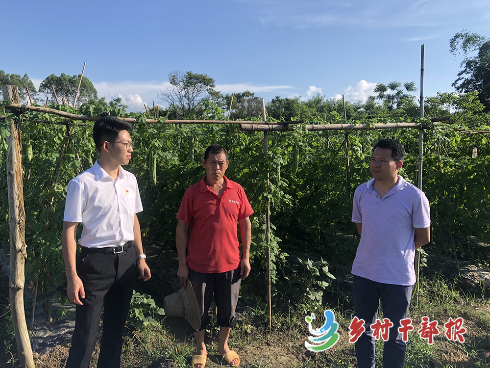 選調生 馮琨皓（左一）在地頭核對產(chǎn)業(yè)獎補情況。2.jpg