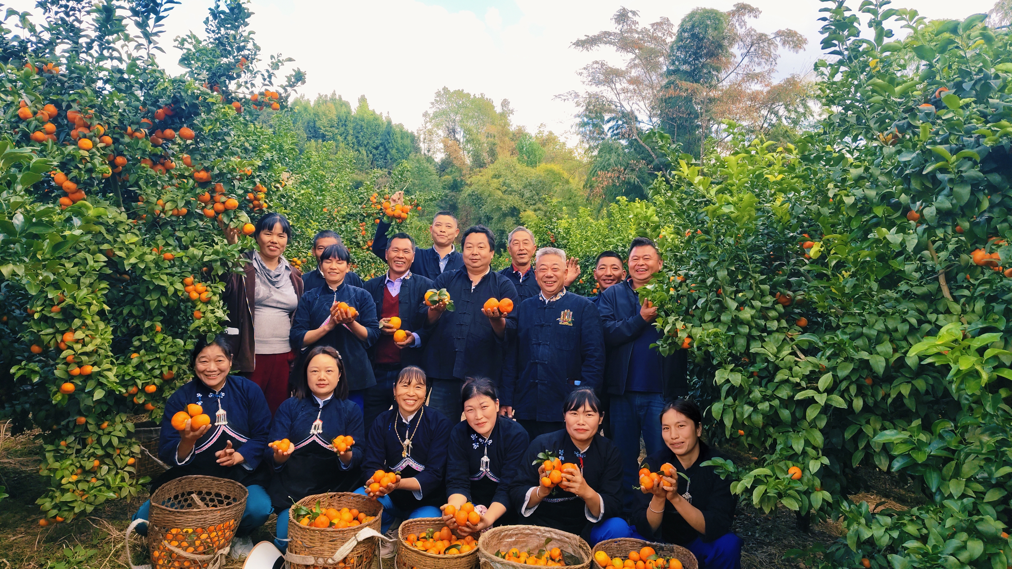 高山砂糖橘讓農(nóng)民生活甜蜜蜜 (2).jpg